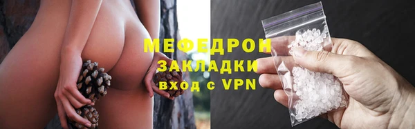 твердый Ельня