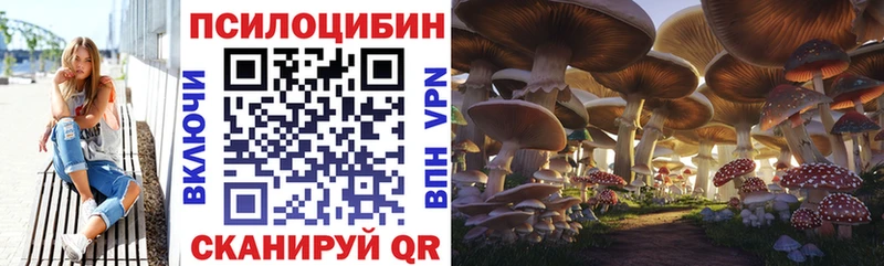 купить наркоту  Зубцов  Псилоцибиновые грибы Psilocybe 
